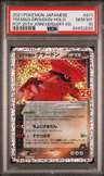 Team Magma'S Groudon