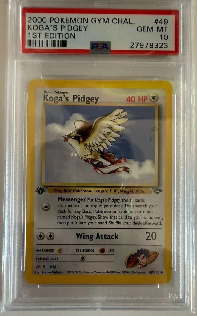 Koga's Pidgey