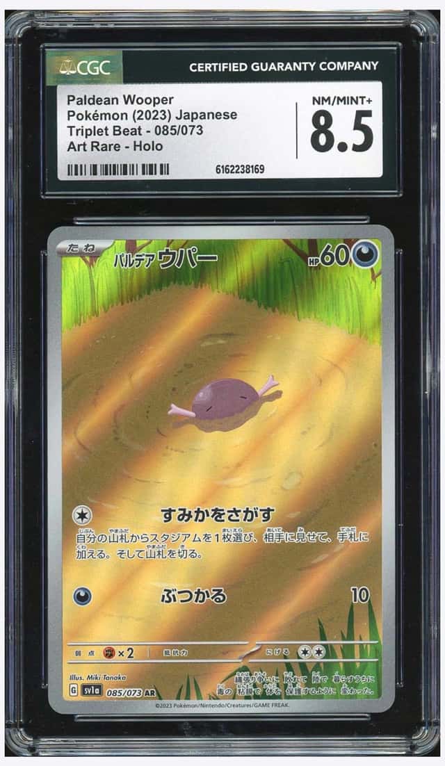 Paldean Wooper