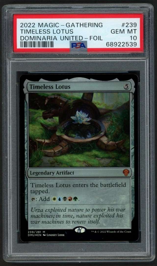 Timeless Lotus