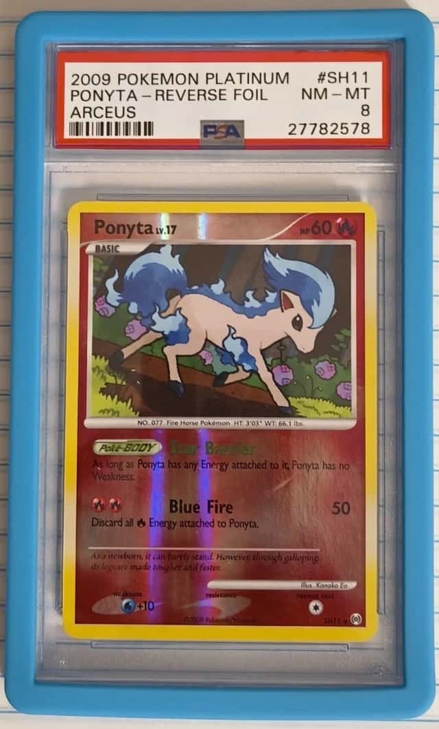 Ponyta