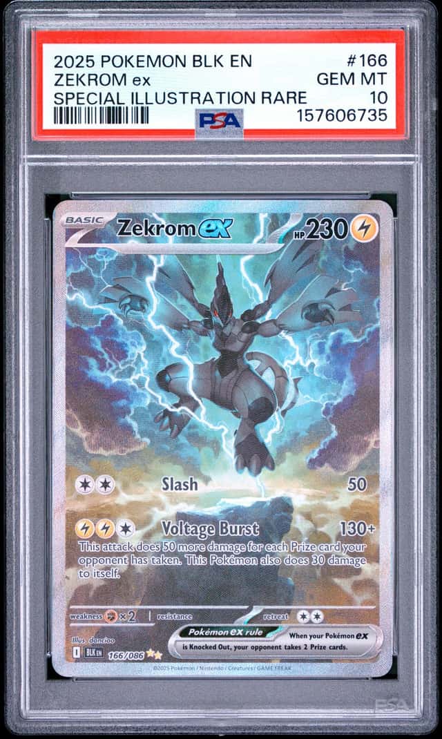 ZEKROM ex