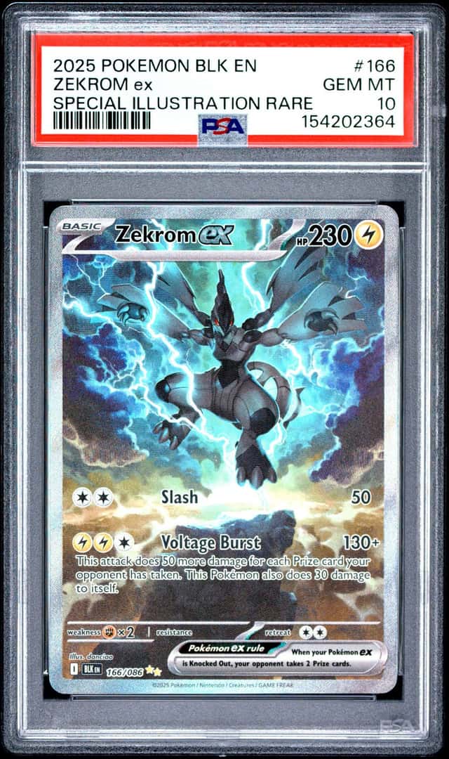 ZEKROM ex