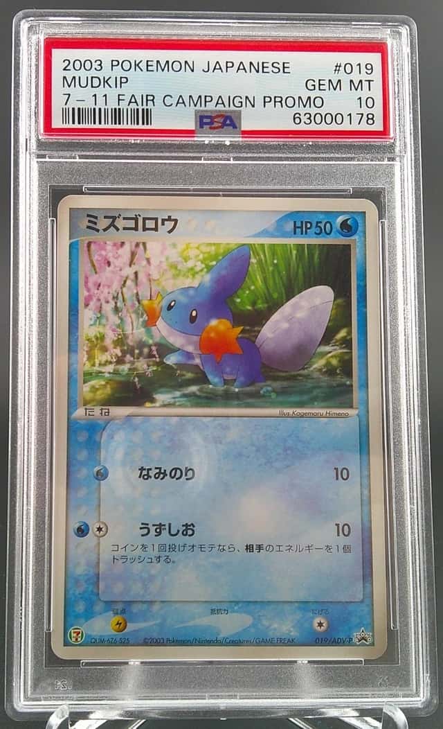 Mudkip