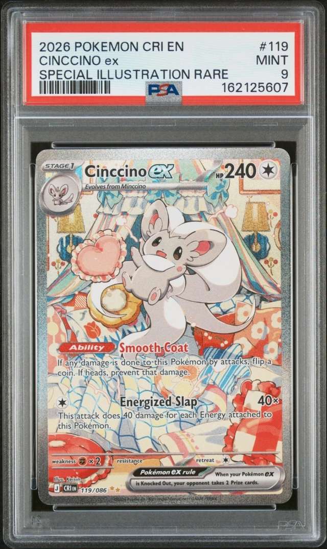CINCCINO ex