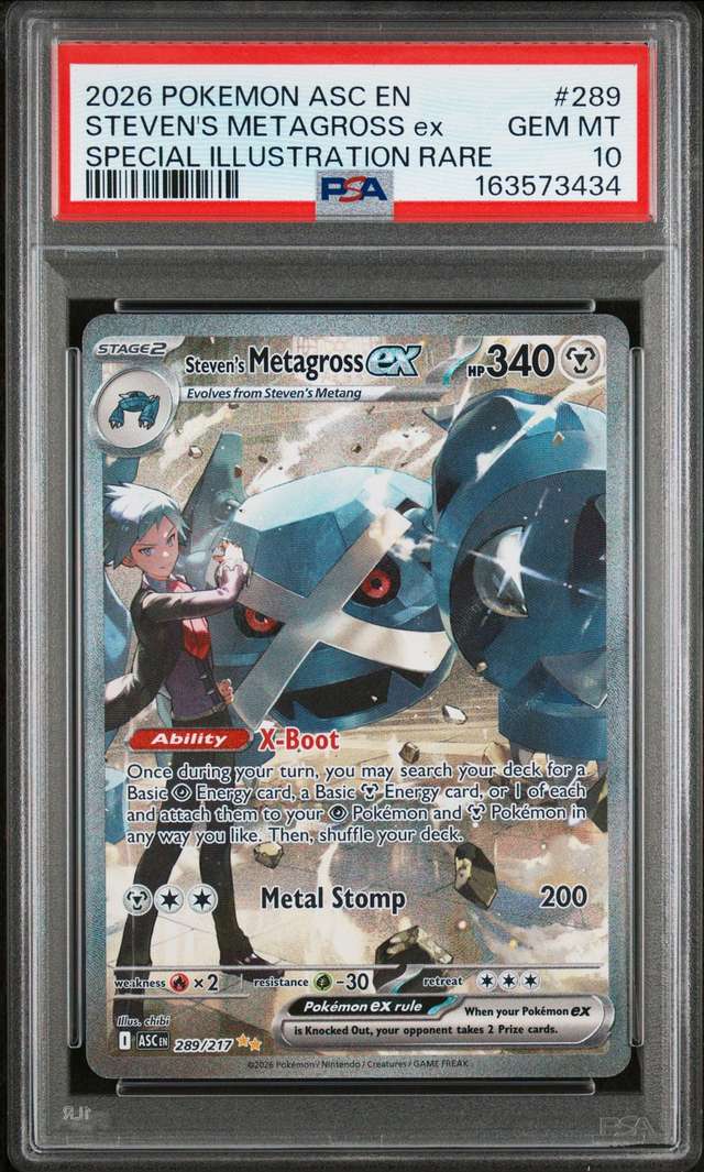 STEVEN'S METAGROSS ex