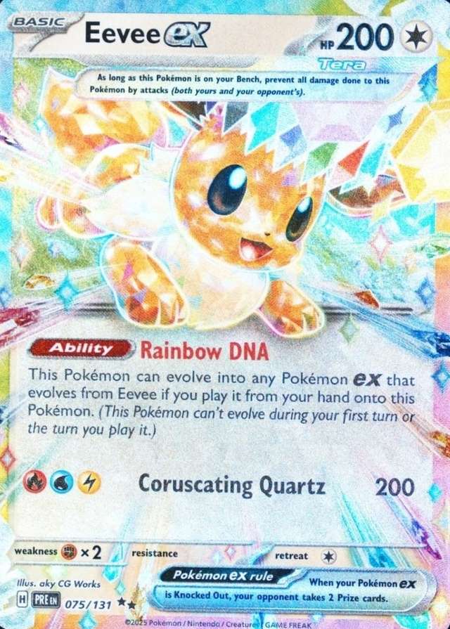Holo