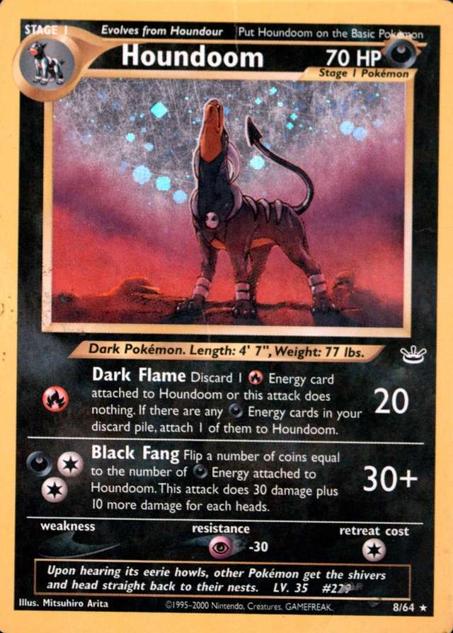 Holo