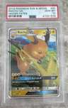 Raichu Gx