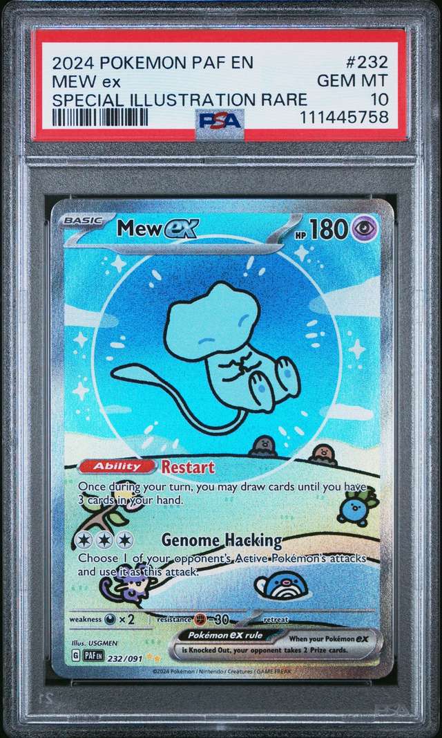 MEW ex