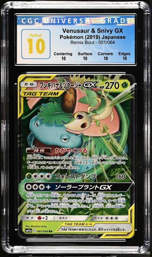 Venusaur & Snivy GX