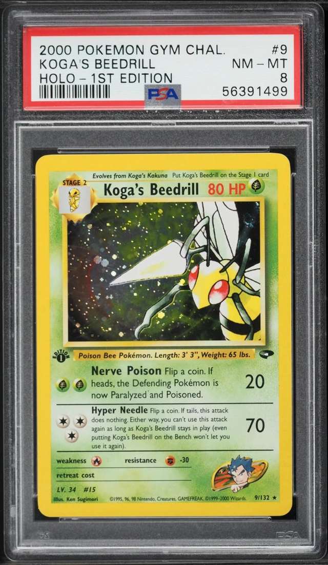 Koga's Beedrill