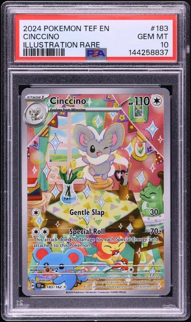 Cinccino