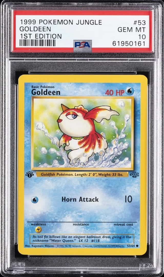 Goldeen
