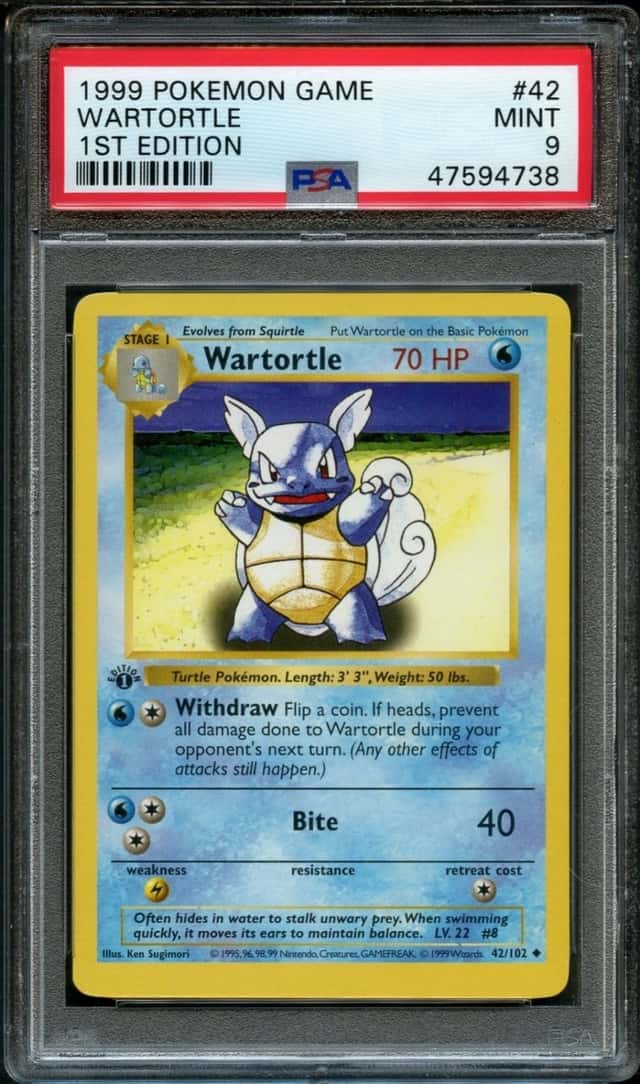 Wartortle