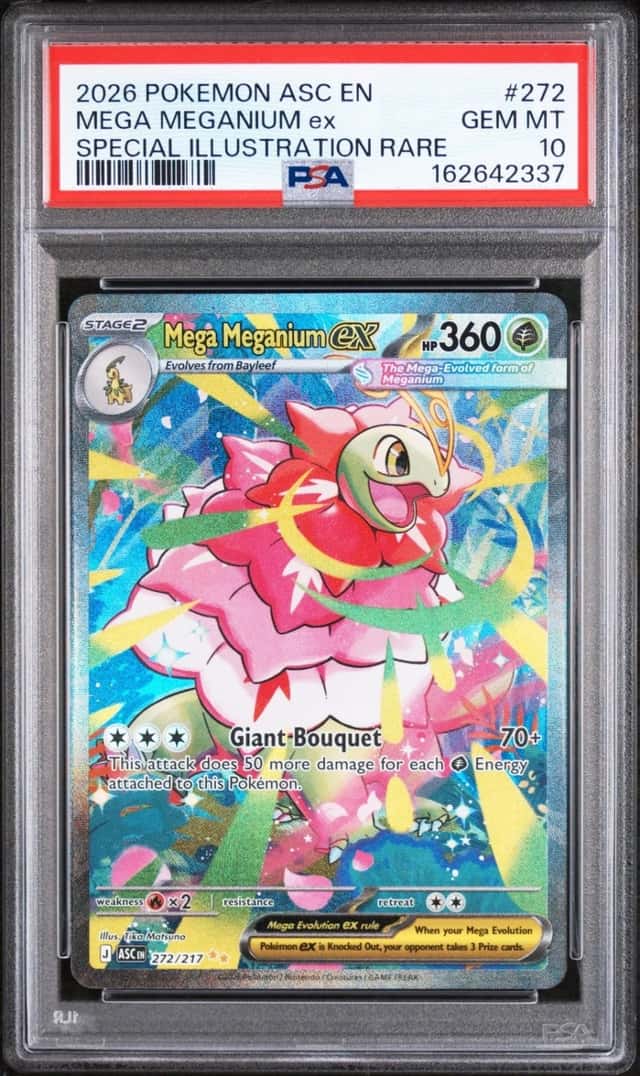 MEGA MEGANIUM ex