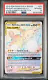 Raichu & Alolan Raichu Gx
