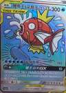 Magikarp & Wailord Tag Team Gx Sr