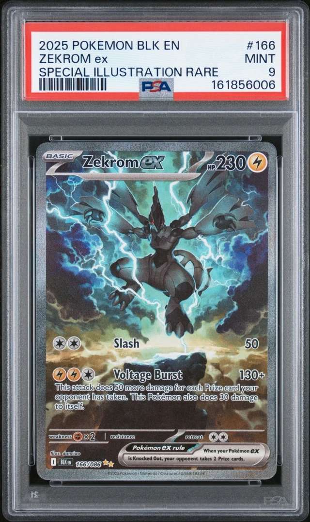 ZEKROM ex