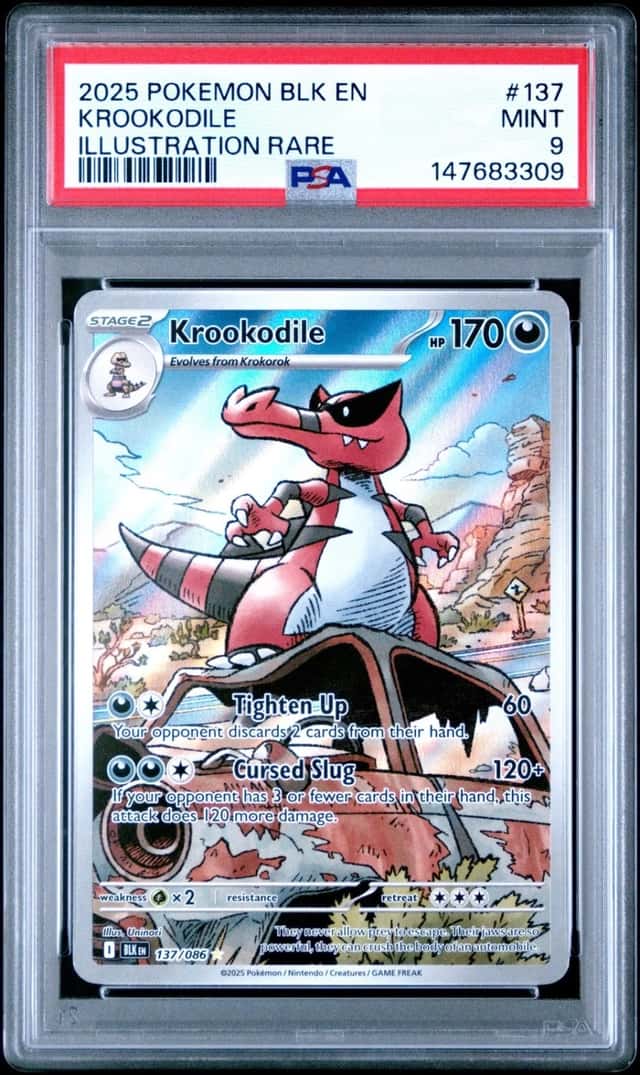 Krookodile