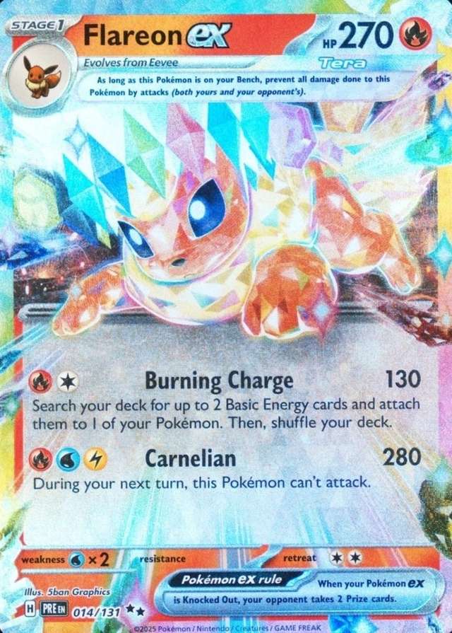 Holo