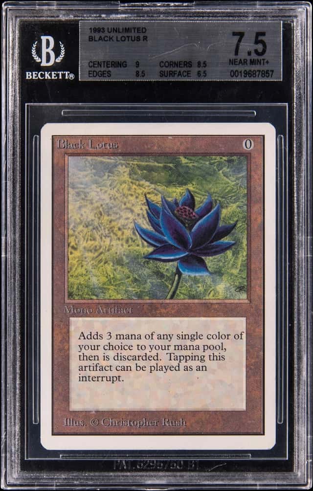 Black Lotus