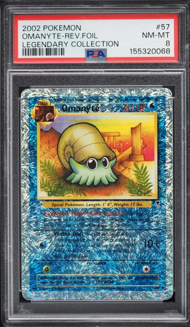 Omanyte