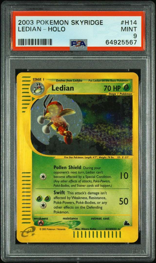 Ledian