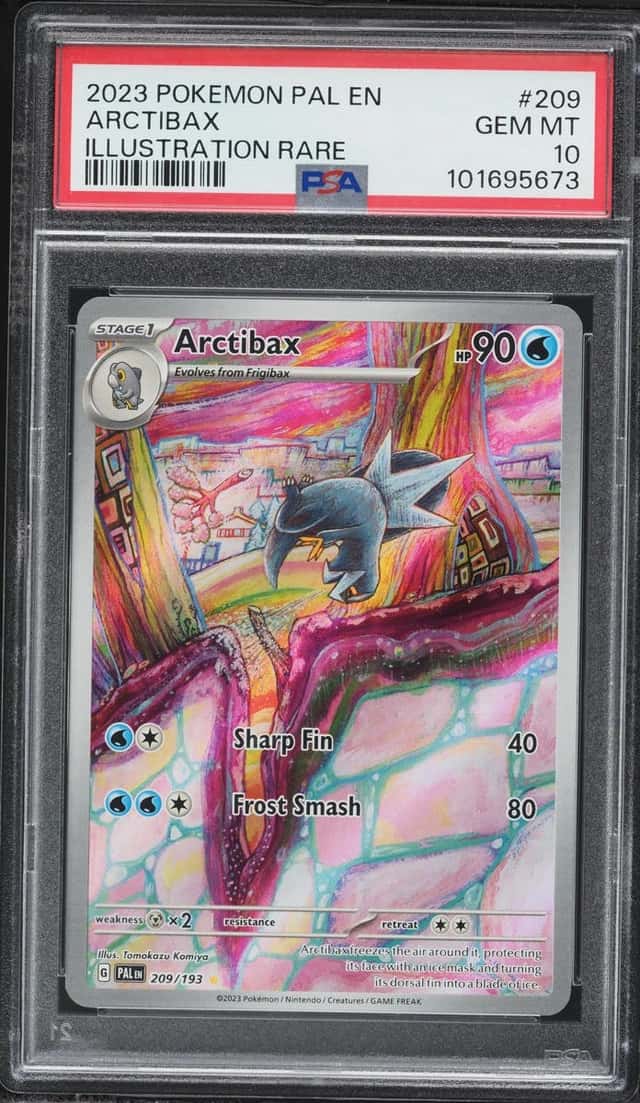 Arctibax
