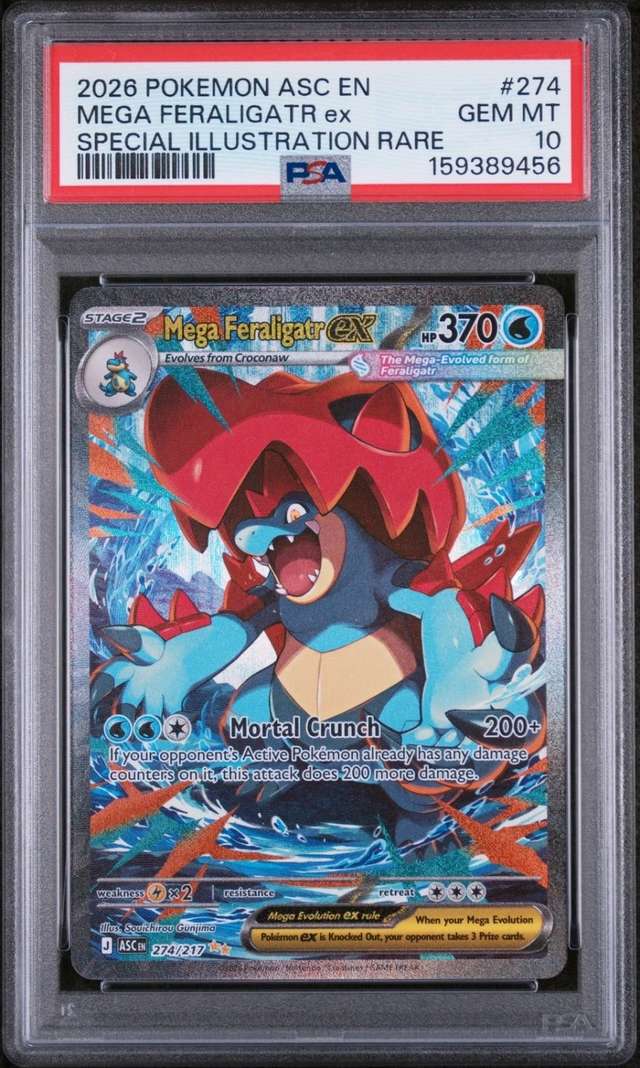 MEGA FERALIGATR ex