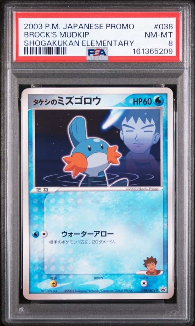 Brock's Mudkip