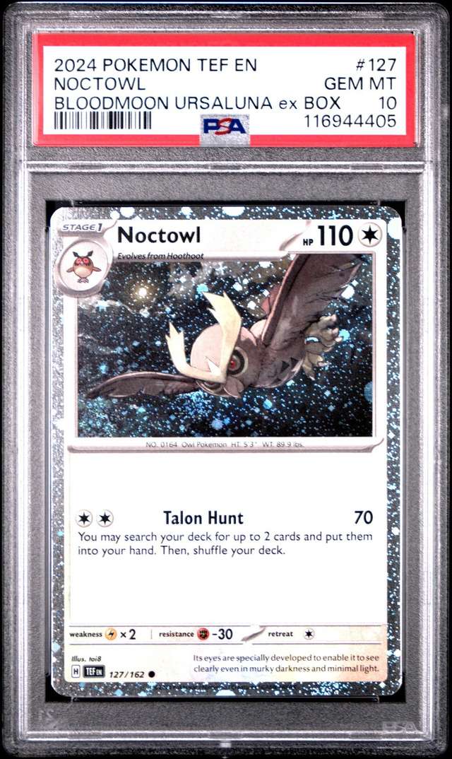 Noctowl