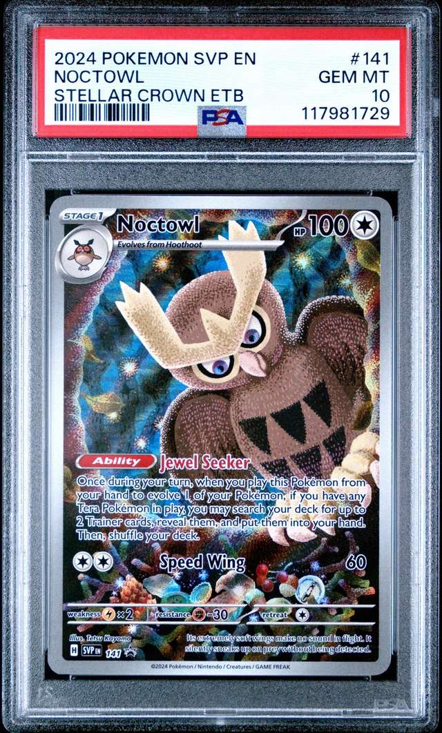 Noctowl