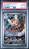 Noctowl