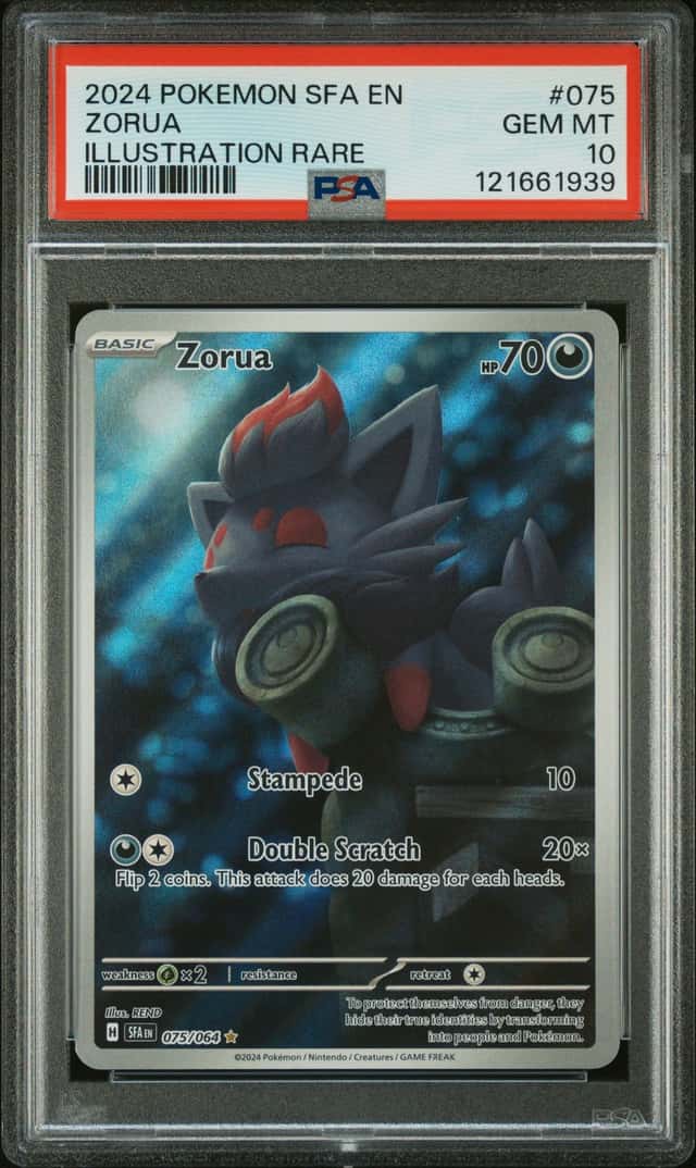 Zorua