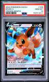 Eevee V