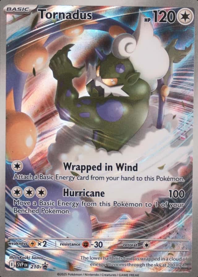 Box Elite Trainer