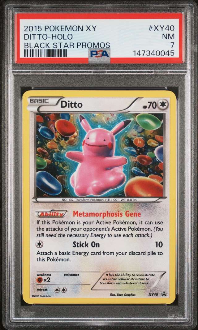 Ditto