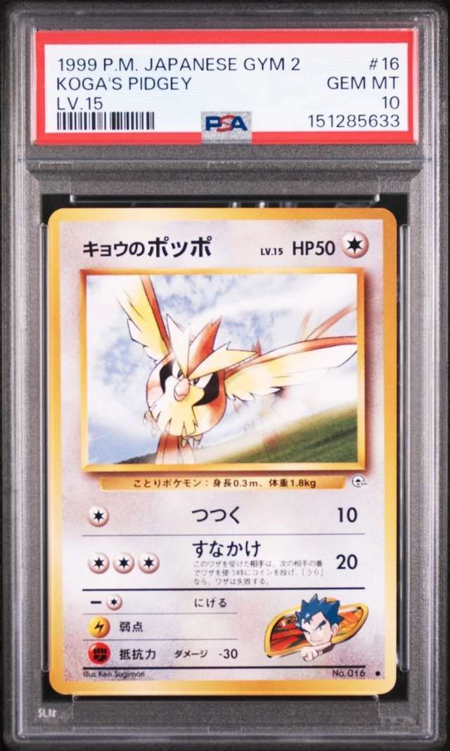 Koga's Pidgey