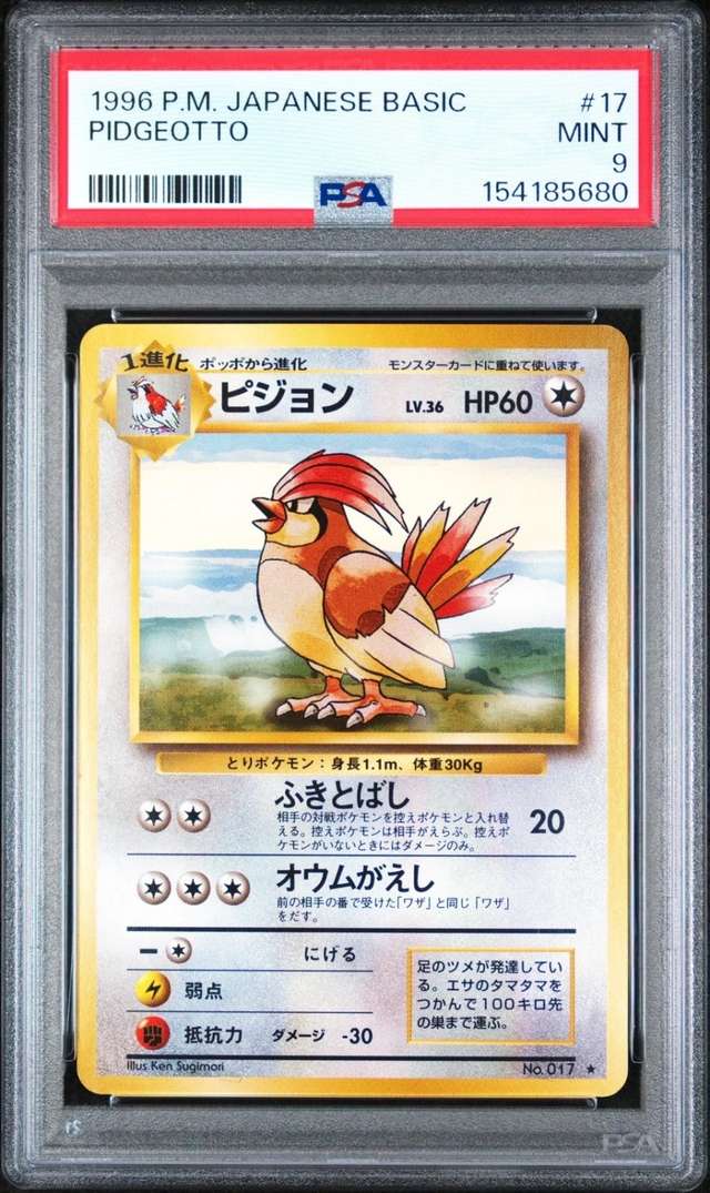 Pidgeotto