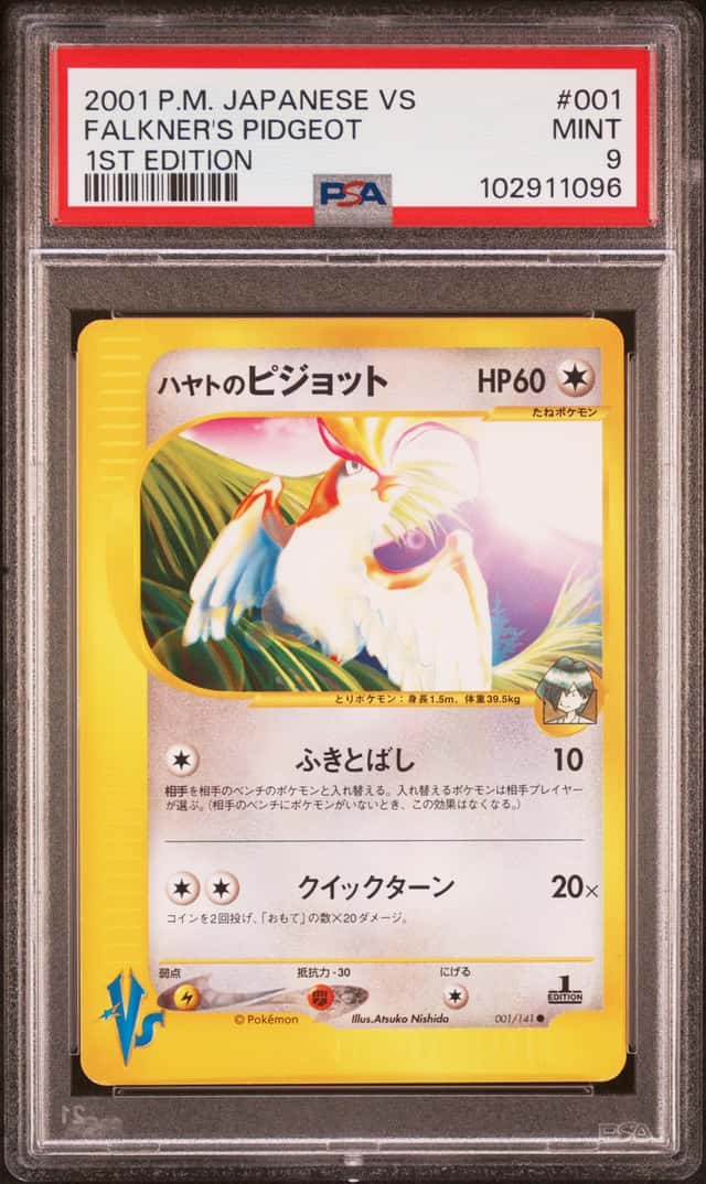 Falkner's Pidgeot