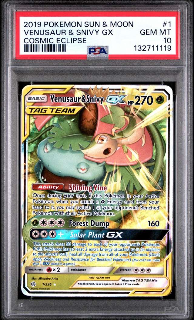 Venusaur & Snivy GX
