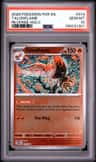 Talonflame