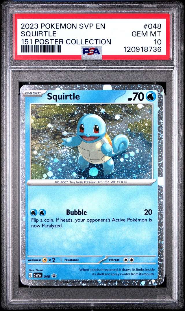 Squirtle