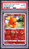 Torchic