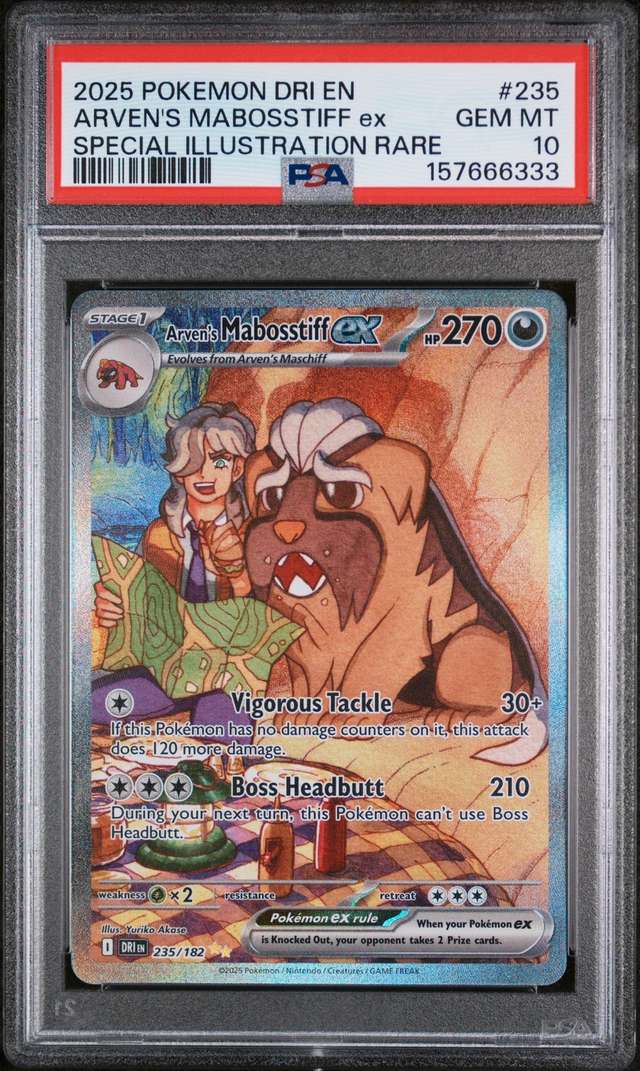 ARVEN'S MABOSSTIFF ex