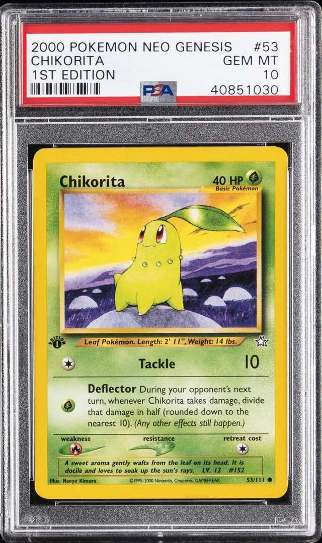 Chikorita