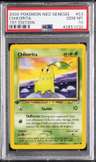 Chikorita