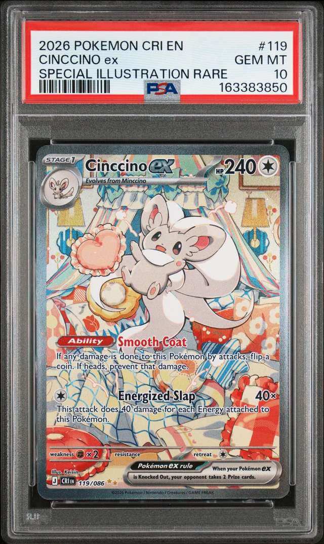 CINCCINO ex