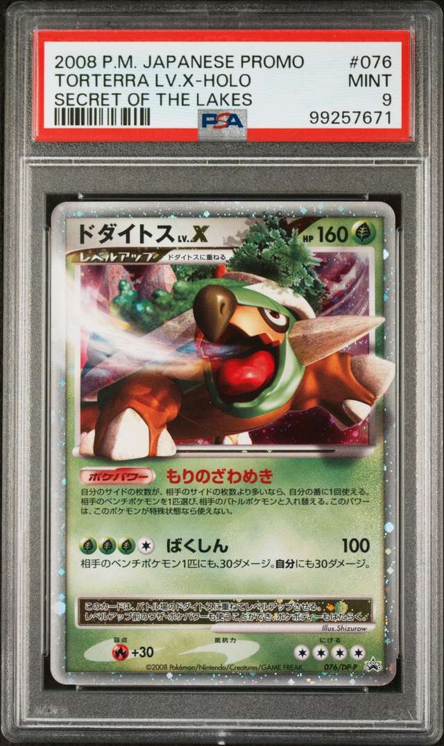 TORTERRA LV.X